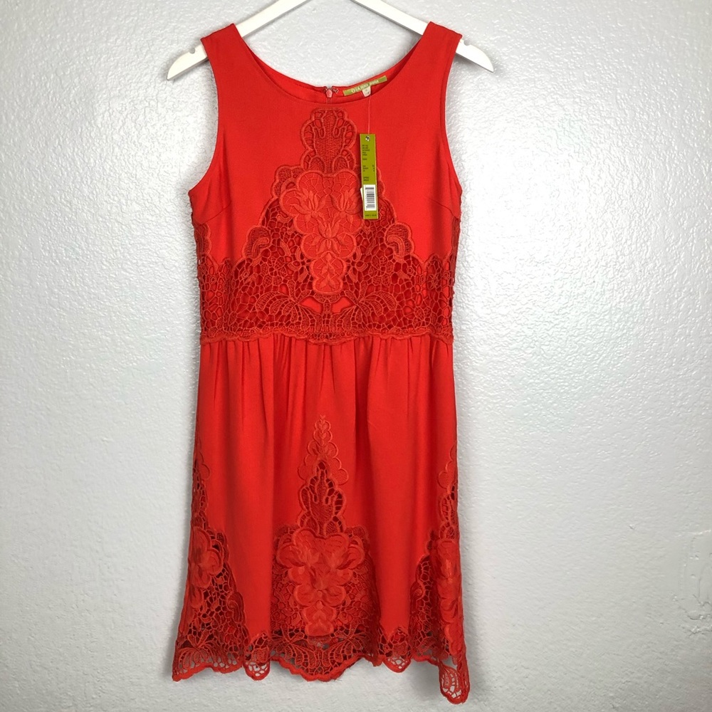 Gianni Bini Dress🤩